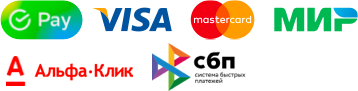 Способы оплаты: SberPay, Visa, Mastercard, Мир, Альфа-Клик, СБП